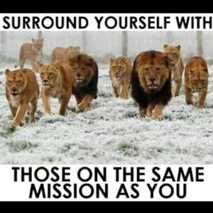 Meet your Posher, Darrell